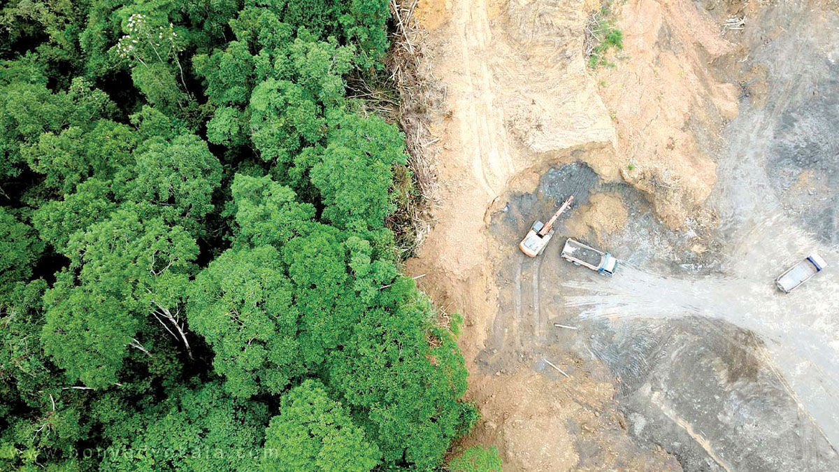 قانون حفاظت یا تخریب اراضی