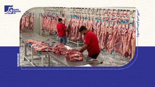 فیلم | افشاگری رئیس اتحادیه گوشت مشهد: ۵۰ هزار دلار خواستند تا دست از سرم بردارند!