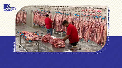 فیلم | افشاگری رئیس اتحادیه گوشت مشهد: ۵۰ هزار دلار خواستند تا دست از سرم بردارند!