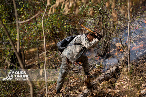 گزارش تصویری | آخرین وضعیت حریق در جنگل‌های گالیکش - استان گلستان