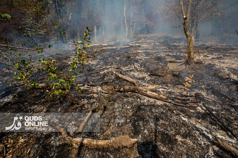گزارش تصویری | آخرین وضعیت حریق در جنگل‌های گالیکش - استان گلستان