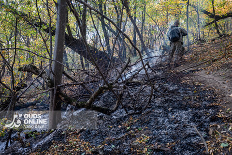 گزارش تصویری | آخرین وضعیت حریق در جنگل‌های گالیکش - استان گلستان