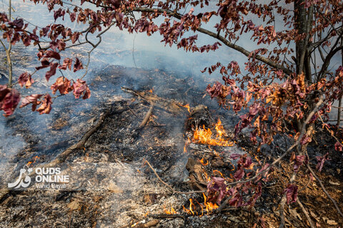 گزارش تصویری | آخرین وضعیت حریق در جنگل‌های گالیکش - استان گلستان