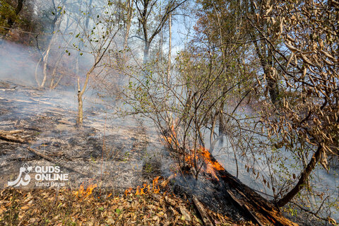 گزارش تصویری | آخرین وضعیت حریق در جنگل‌های گالیکش - استان گلستان