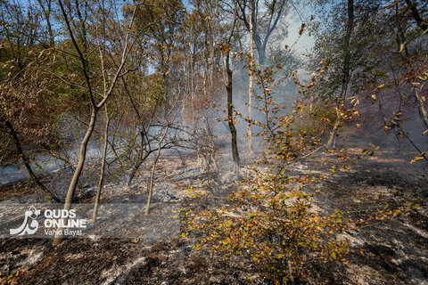 گزارش تصویری | آخرین وضعیت حریق در جنگل‌های گالیکش - استان گلستان