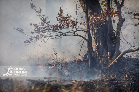 گزارش تصویری | آخرین وضعیت حریق در جنگل‌های گالیکش - استان گلستان
