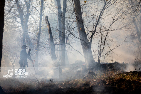 گزارش تصویری | آخرین وضعیت حریق در جنگل‌های گالیکش - استان گلستان