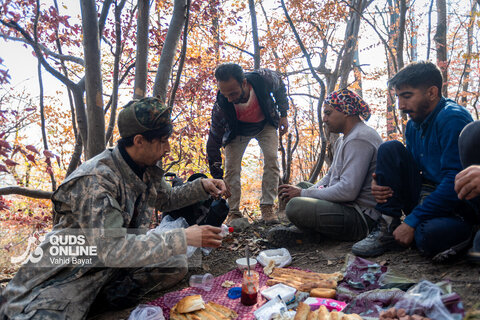 گزارش تصویری | آخرین وضعیت حریق در جنگل‌های گالیکش - استان گلستان