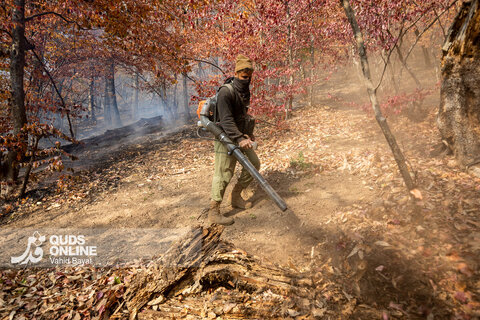 گزارش تصویری | آخرین وضعیت حریق در جنگل‌های گالیکش - استان گلستان