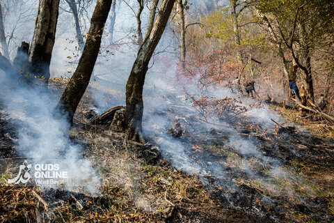 گزارش تصویری | آخرین وضعیت حریق در جنگل‌های گالیکش - استان گلستان