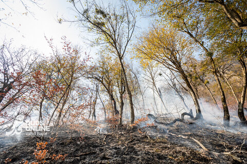 گزارش تصویری | آخرین وضعیت حریق در جنگل‌های گالیکش - استان گلستان