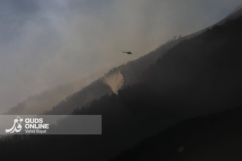 آخرین تصاویر از آتش‌سوزی جنگل الیت