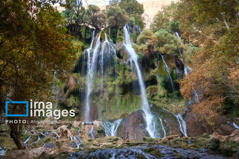 «آبشار زردلیمه»؛ سکوت پاییزی زاگرس