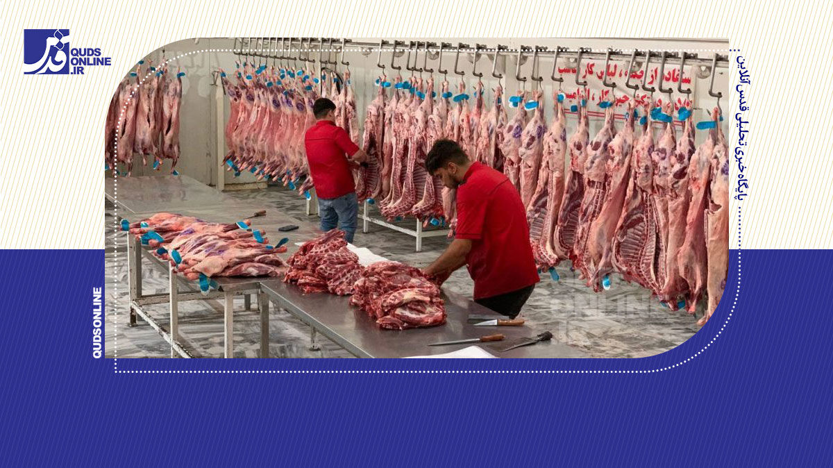 فیلم | افشاگری رئیس اتحادیه گوشت مشهد: ۵۰ هزار دلار خواستند تا دست از سرم بردارند!