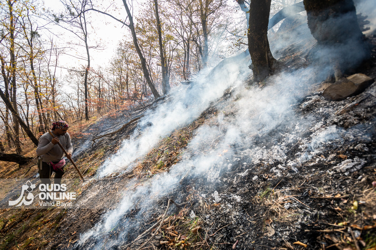 گزارش تصویری | آخرین وضعیت حریق در جنگل‌های گالیکش - استان گلستان