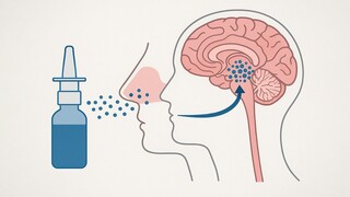 طراحی دارویی به صورت قطره بینی برای حذف تومورهای مغزی