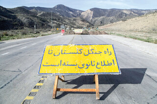 جنگل هم قانون دارد