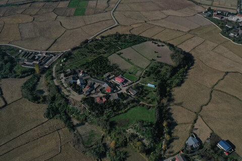 شکفتن دانه برنج ۳۰۰۰ ساله از کاوش لایه‌نگاری محوطه باستانی قلعه‌کِش آمل