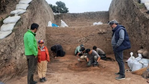 شکفتن دانه برنج ۳۰۰۰ ساله از کاوش لایه‌نگاری محوطه باستانی قلعه‌کِش آمل