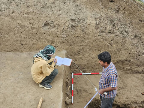 شکفتن دانه برنج ۳۰۰۰ ساله از کاوش لایهنگاری محوطه باستانی قلعهکِش آمل