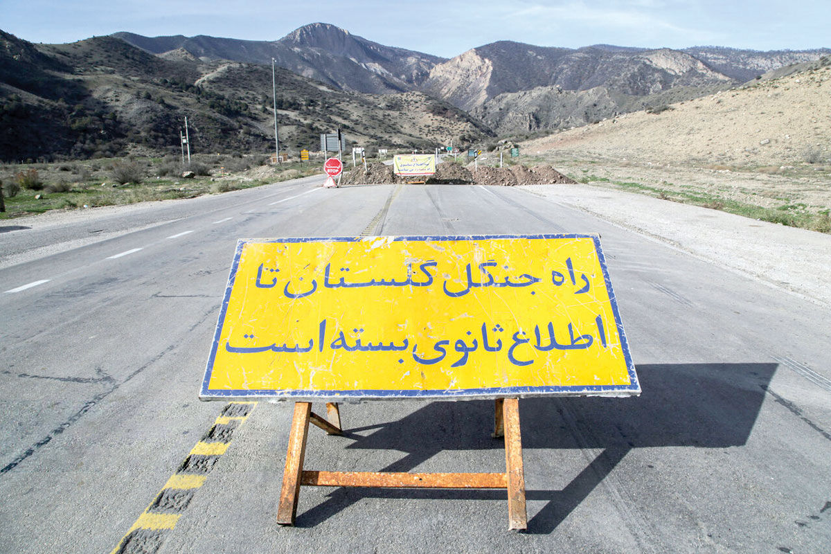 جنگل هم قانون دارد