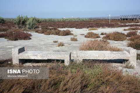 آخرین نفس‌های بزرگ‌ترین خلیج خزر