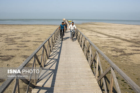 آخرین نفس‌های بزرگ‌ترین خلیج خزر