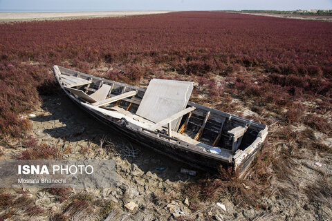 آخرین نفس‌های بزرگ‌ترین خلیج خزر