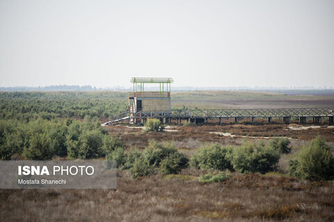 آخرین نفس‌های بزرگ‌ترین خلیج خزر