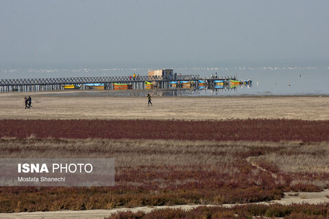آخرین نفس‌های بزرگ‌ترین خلیج خزر