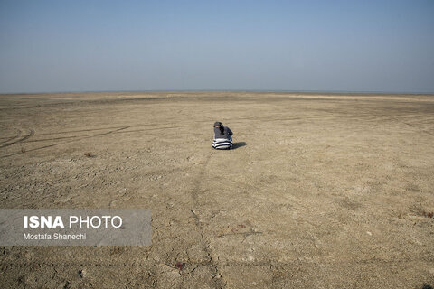 آخرین نفس‌های بزرگ‌ترین خلیج خزر