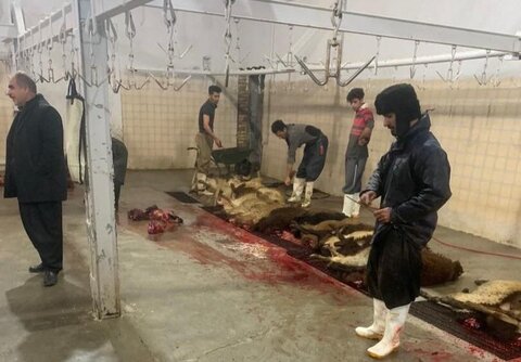 تعطیلی کشتارگاه‌های سنتی بوشهر