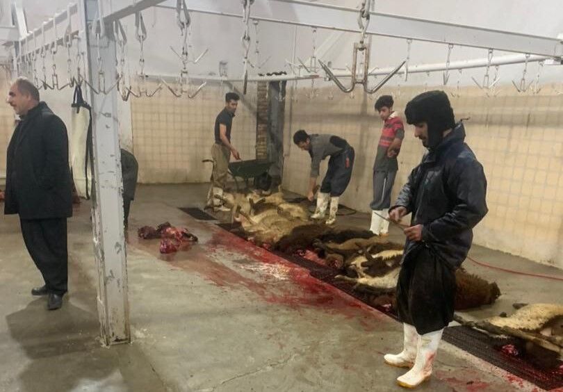 تعطیلی کشتارگاه‌های سنتی بوشهر