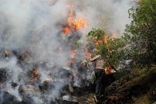 مهار آتش سوزی در جنگل‌های مرزن آباد