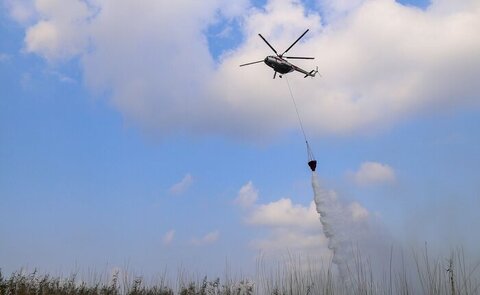 گشایشی برای جنگل‌های مازندران