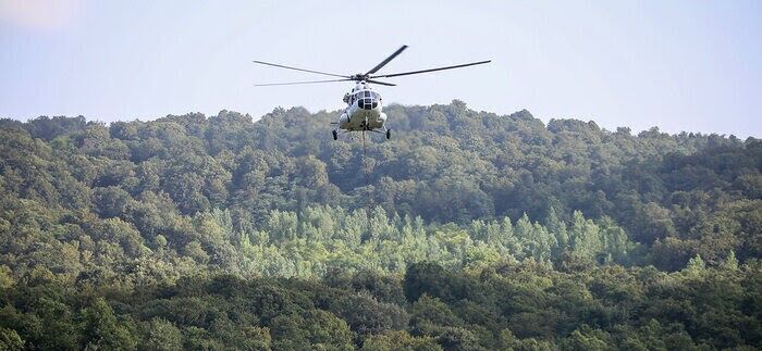 گشایشی برای جنگل‌های مازندران