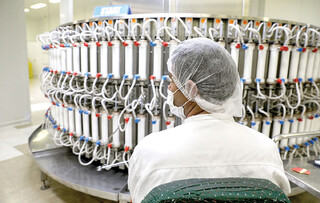 دارو مهم‌تر است یا واردات خودرو و موبایل؟