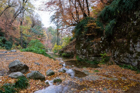 گزارش تصویری | طبیعت زیبای پاییزی آبشار لُوه - گلستان