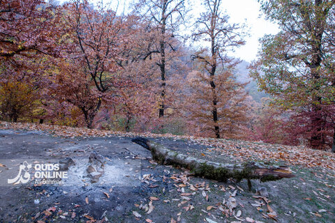گزارش تصویری | طبیعت زیبای پاییزی آبشار لُوه - گلستان