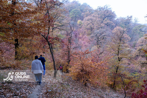 گزارش تصویری | طبیعت زیبای پاییزی آبشار لُوه - گلستان