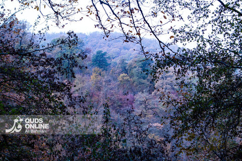 گزارش تصویری | طبیعت زیبای پاییزی آبشار لُوه - گلستان