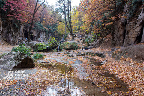 گزارش تصویری | طبیعت زیبای پاییزی آبشار لُوه - گلستان