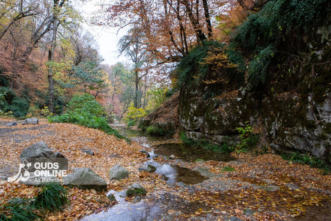 گزارش تصویری | طبیعت زیبای پاییزی آبشار لُوه - گلستان