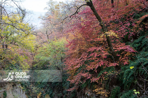 گزارش تصویری | طبیعت زیبای پاییزی آبشار لُوه - گلستان