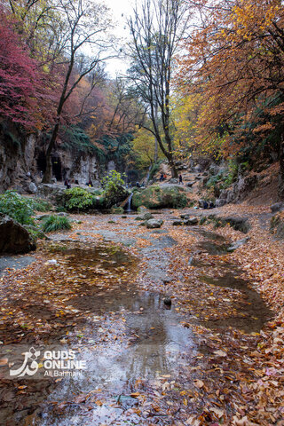 گزارش تصویری | طبیعت زیبای پاییزی آبشار لُوه - گلستان