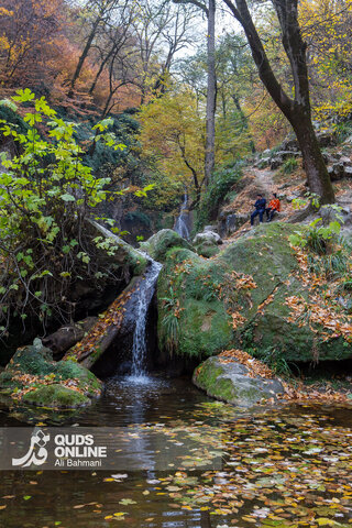 گزارش تصویری | طبیعت زیبای پاییزی آبشار لُوه - گلستان