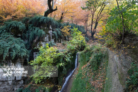 گزارش تصویری | طبیعت زیبای پاییزی آبشار لُوه - گلستان