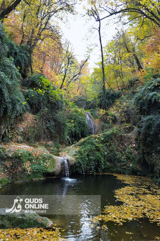 گزارش تصویری | طبیعت زیبای پاییزی آبشار لُوه - گلستان