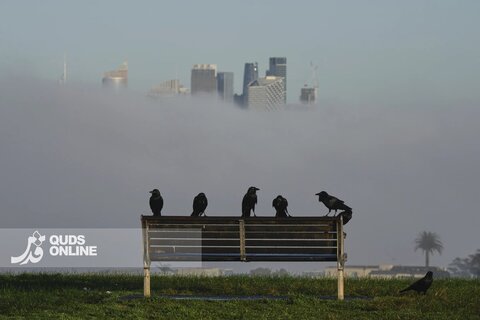 تصاویر منتخب سال 2025 از نگاه آسوشیتدپرس