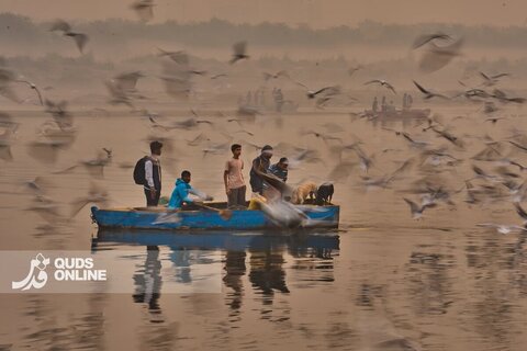 تصاویر منتخب سال 2025 از نگاه آسوشیتدپرس